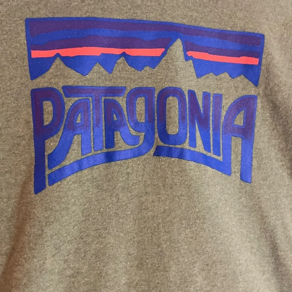 Patagonia Mens Fitz Roy Frostbite Responsibili-tee size Large - Picture 2 of 4